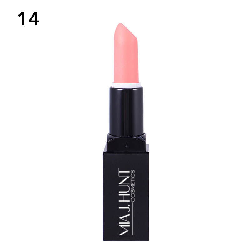 Matte Lip stick in the tube